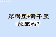 魔羯座和狮子座合得来吗_性格互补还是水火不容