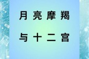月亮魔羯可怕吗_月亮魔羯性格真相