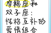 摩羯男会爱上双子女吗_摩羯男双子女配对指数