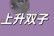 上升双子女喜欢玩什么_如何投其所好