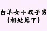 白银男双子女合适吗_相处技巧有哪些