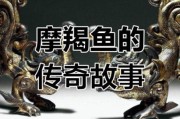 魔羯鲤鱼是什么_如何饲养魔羯鲤鱼