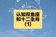属鼠双鱼男性格特点_如何相处