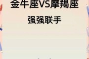 金牛座和摩羯座适合一起创业吗_如何分工合作