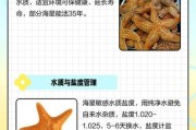 魔羯海星是什么_魔羯海星怎么养