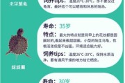 天蝎座乌龟性格特点_怎么养才亲人