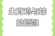 属鸡水瓶男和属蛇双子女配对吗_如何相处