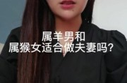 属羊魔羯男和属猴女配对吗_婚姻能长久吗