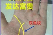 双鱼纹手掌_命运好不好