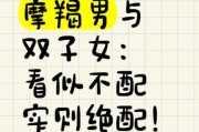 摩羯男欺负双子女怎么办_摩羯男为什么针对双子女
