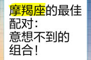 魔羯座和魔羯座配对合适吗_如何相处
