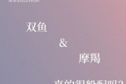 摩羯双鱼配对指数_摩羯双鱼能长久吗