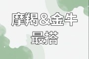 魔羯座和金牛座婚姻配对好吗_如何长久相处