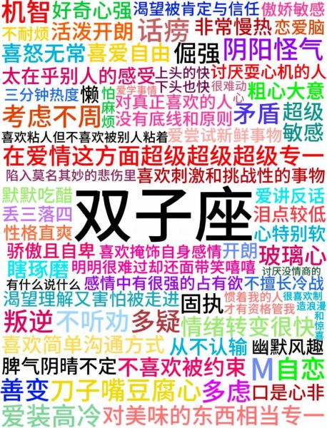 哪些生肖男偏爱双子女_双子女性格吸引力解析