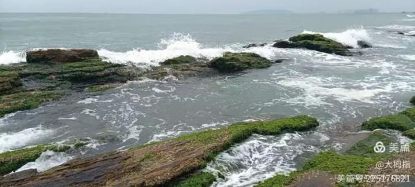 双鱼岛房产值得投资吗_2024最新房价走势