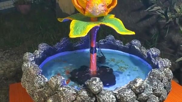 双鱼景适合种什么花_如何打造梦幻水景