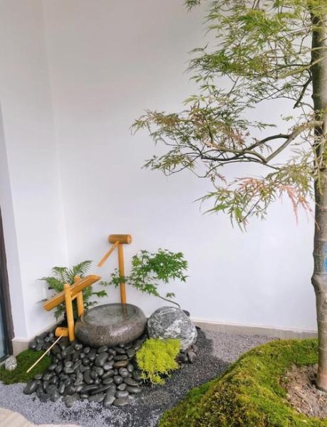 双鱼景适合种什么花_如何打造梦幻水景