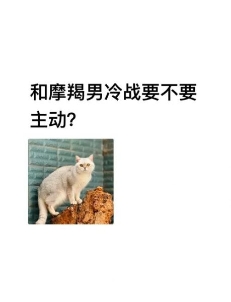 魔羯冷暴力怎么对付_如何与摩羯冷战和解