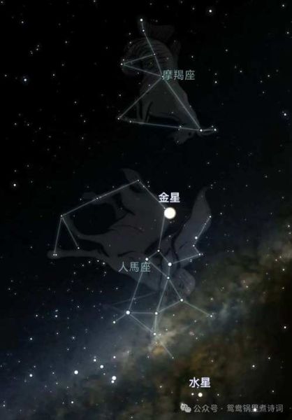 魔羯金星射手如何相处_魔羯金星射手配对好吗