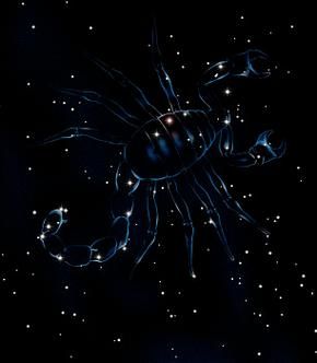 天蝎座唯美图片哪里找_天蝎座壁纸高清无水印