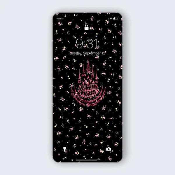 属猪魔羯女下半生运势_晚年财富与感情走向