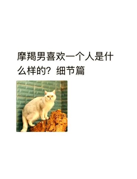 魔羯肉麻吗_摩羯男撒娇表现