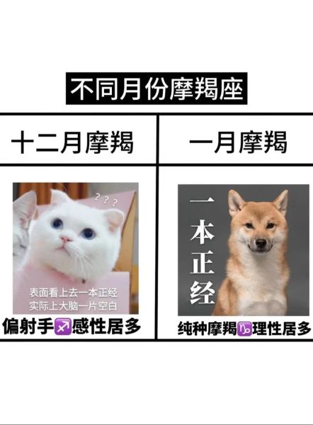 魔羯和摩羯的区别_摩羯座的性格特点