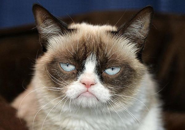 魔羯男天生臭脸表情包_怎么哄