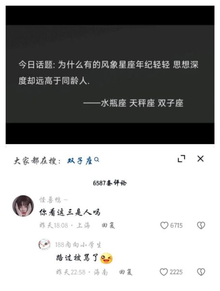 双子女骂人有多狠_双子女吵架语录