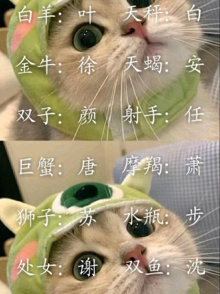 适合魔羯座的数字网名有哪些_如何挑选旺运数字