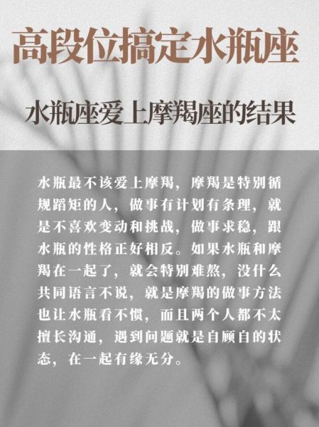 魔羯水瓶豆瓣性格分析_如何相处