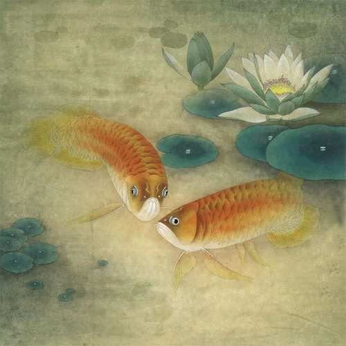 工笔双鱼寓意_工笔双鱼怎么画