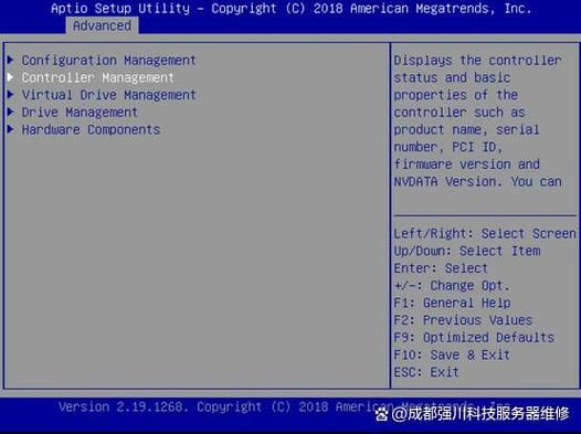 魔羯RAID是什么_魔羯RAID如何配置