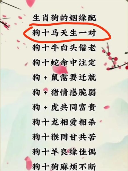 属狗狮子女属猪双子男配对吗_如何相处更长久