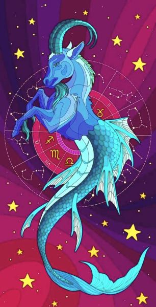 魔羯座如何看清形势_魔羯座决策前要问什么