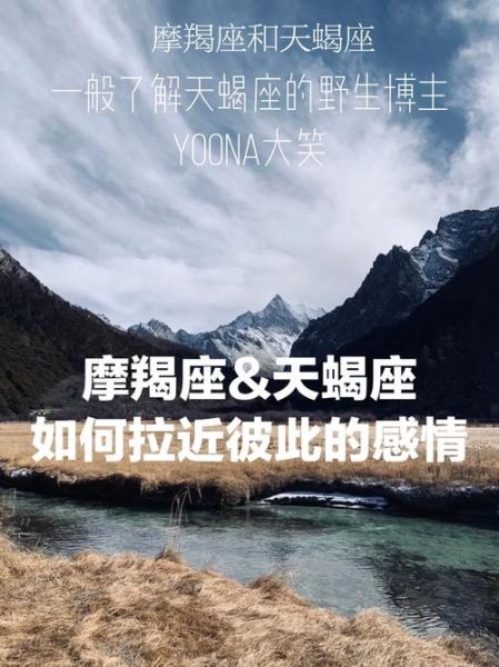魔羯比例怎么算_魔羯比例准吗