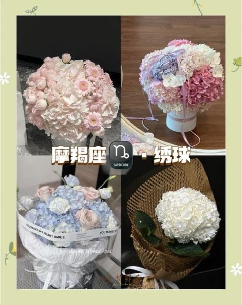 魔羯座花语是什么_魔羯座适合养什么花