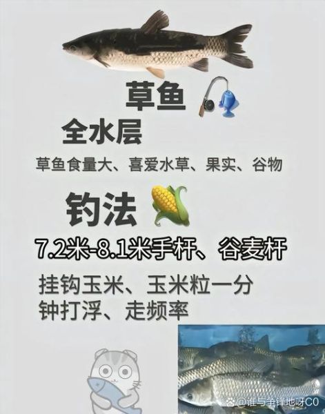 逮双鱼怎么选钓位_逮双鱼用什么饵料