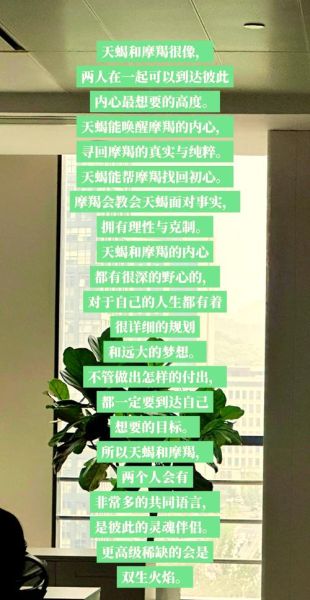 魔羯与魔羯配对_性格相似会幸福吗