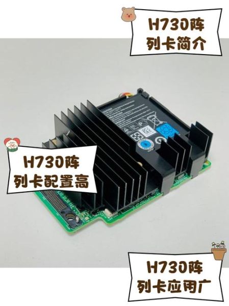 魔羯阵列卡是什么_如何正确配置