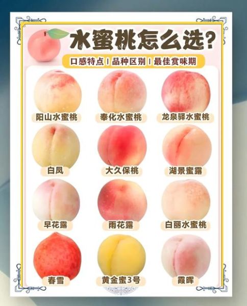 魔羯座水蜜桃_怎么挑最甜