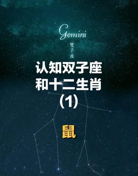 属鼠双子女适合什么职业_属鼠双子女性格特点