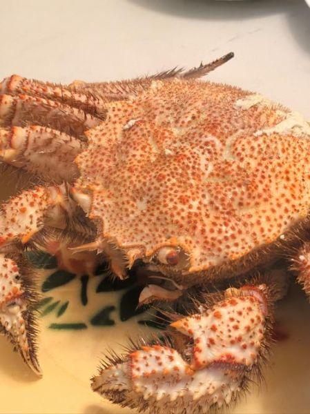 毛蟹和天蝎座的性格匹配吗_毛蟹天蝎座相处技巧