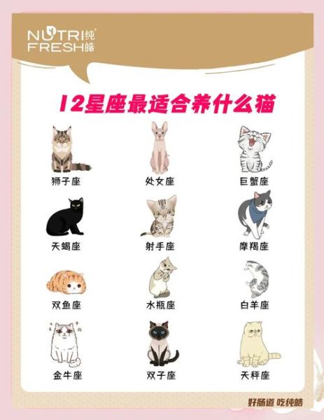 魔羯座喜欢猫吗_魔羯座适合养猫吗
