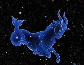 魔羯爷爷是谁_魔羯爷爷真实身份揭秘