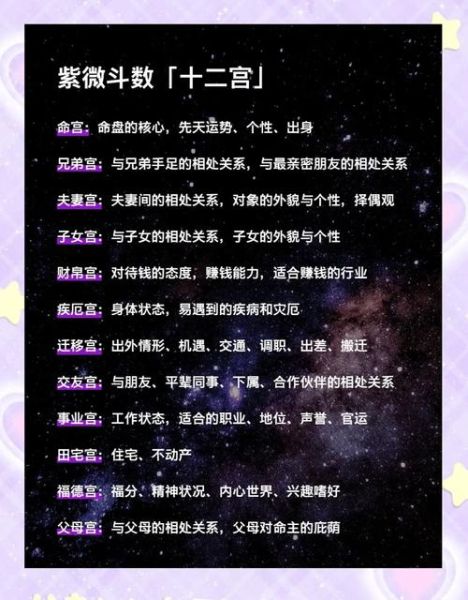 魔羯座紫微斗数怎么看_事业财运全解析