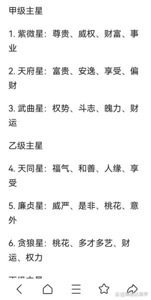 魔羯座紫微斗数怎么看_事业财运全解析