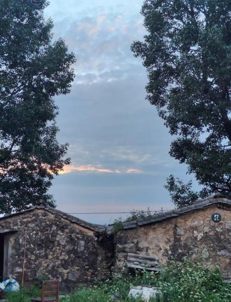 双鱼蝈是什么_如何饲养双鱼蝈