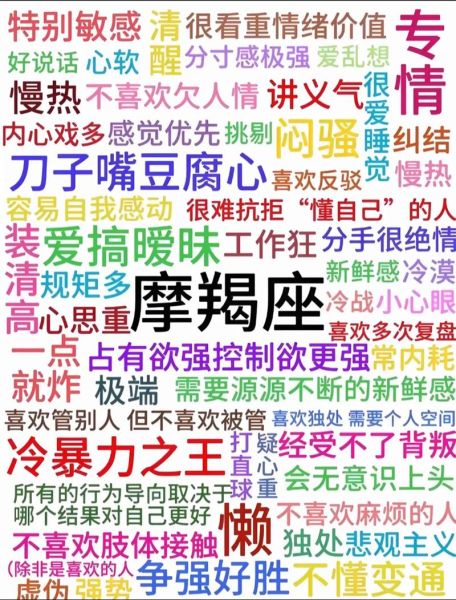 INFJ魔羯性格特点_如何与INFJ魔羯相处