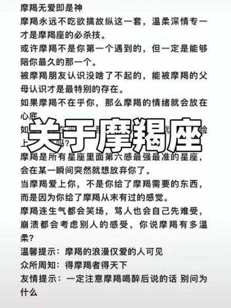 魔羯座适合什么职业_魔羯座工作性格分析